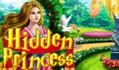 Hidden Princess