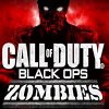 Call of Duty Black Ops Zombies