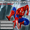 Spiderman City Raid