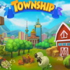 Township